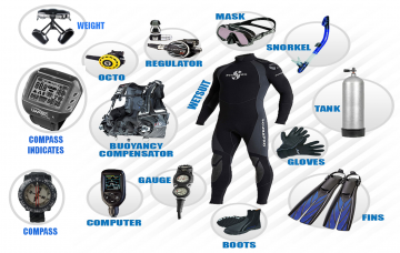 Scuba Diving: Necessary Gear